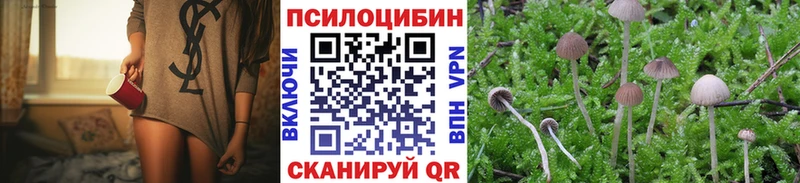 ссылка на мегу ONION  Сковородино  Псилоцибиновые грибы ЛСД  купить  